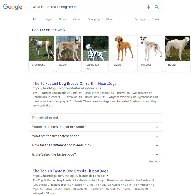 SERP screenshot